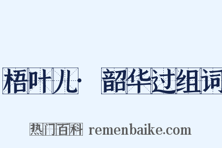 梧叶儿·韶华过组词是什么意思的图片